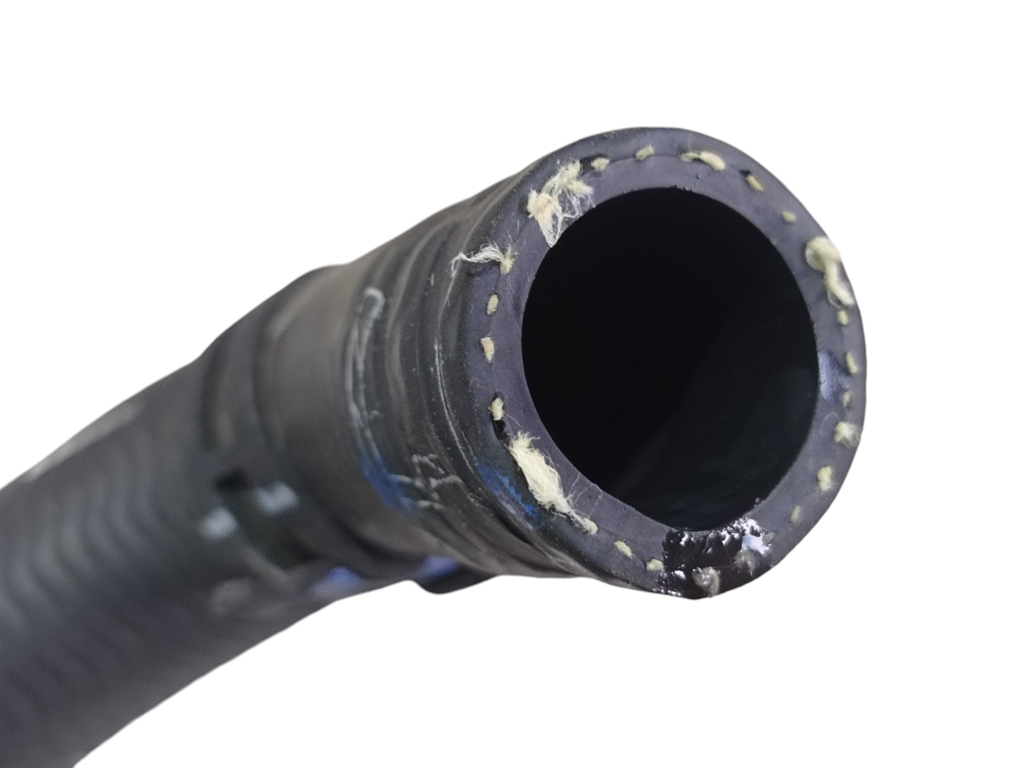 Mangueira Agua Byd Dolphin Gs 2024 2025 V596 6