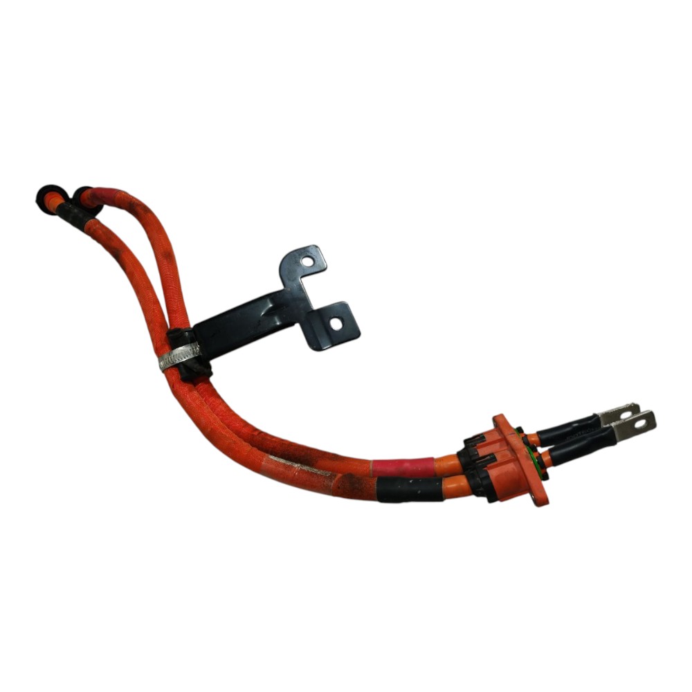 Chicote Cabo Bateria Byd Dolphin Mini 2024 2025 V665 7