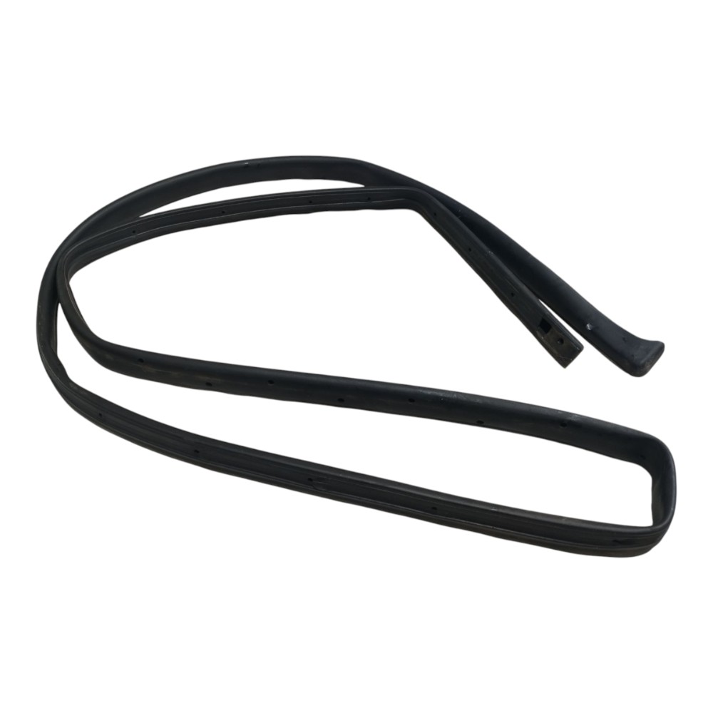 Borracha Porta Dianteira Direita Byd Dolphin Gs 2024 25 V666 8