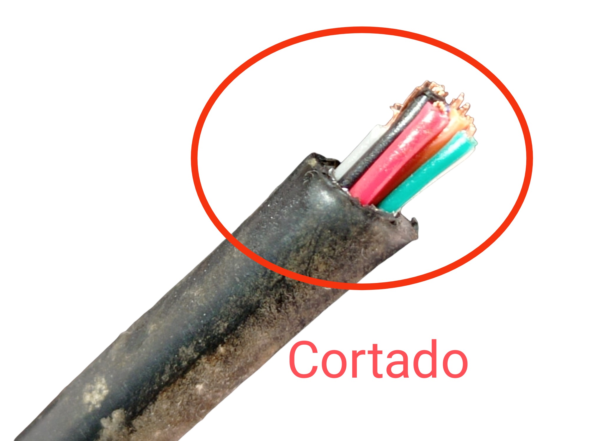 Encosto Banco Dianteiro Esquerdo Pajero Full 2020 V599 6