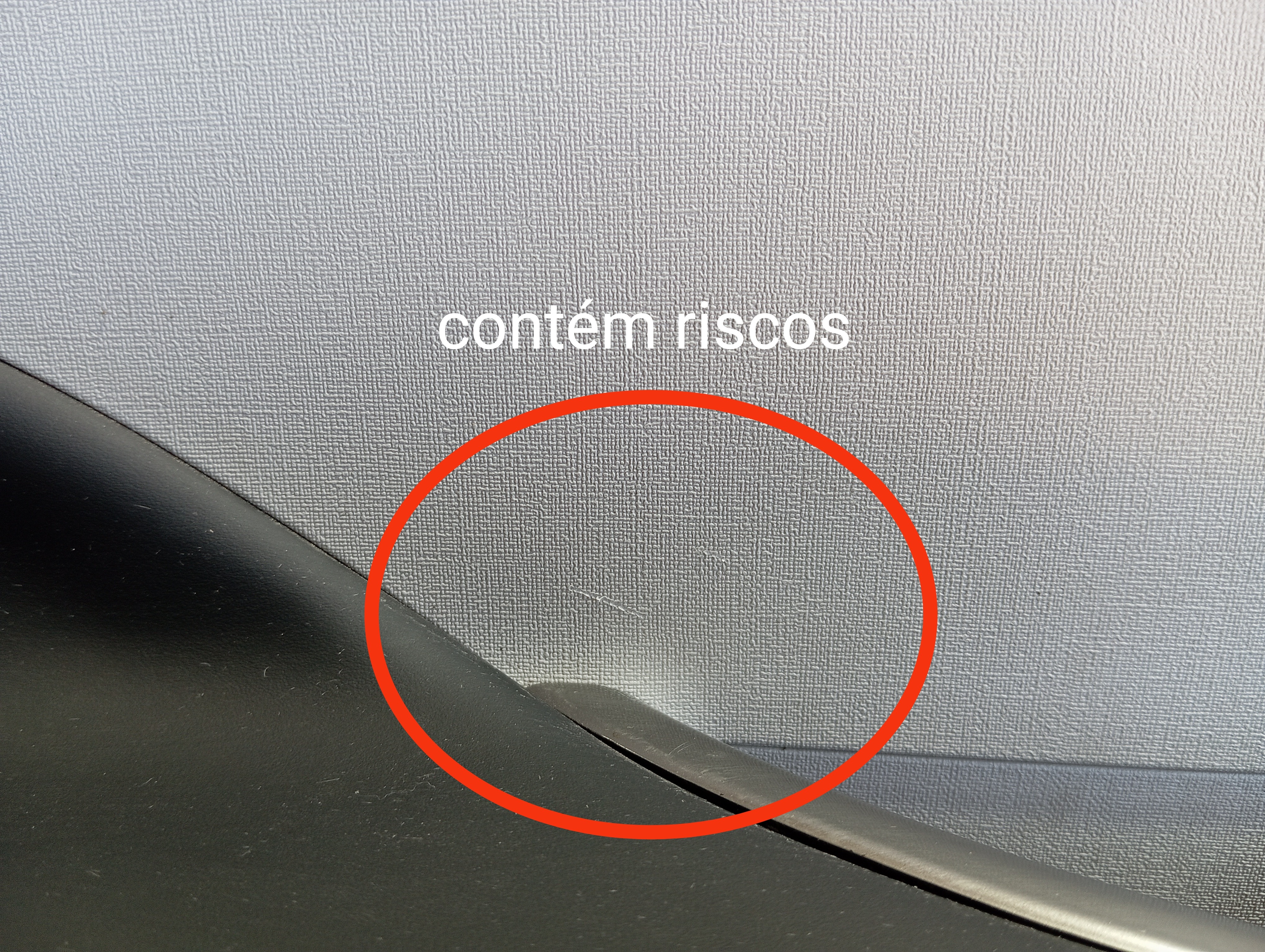 Forro Porta Traseira Esquerda Byd Dolphin Gs 2024 2025 V594 9