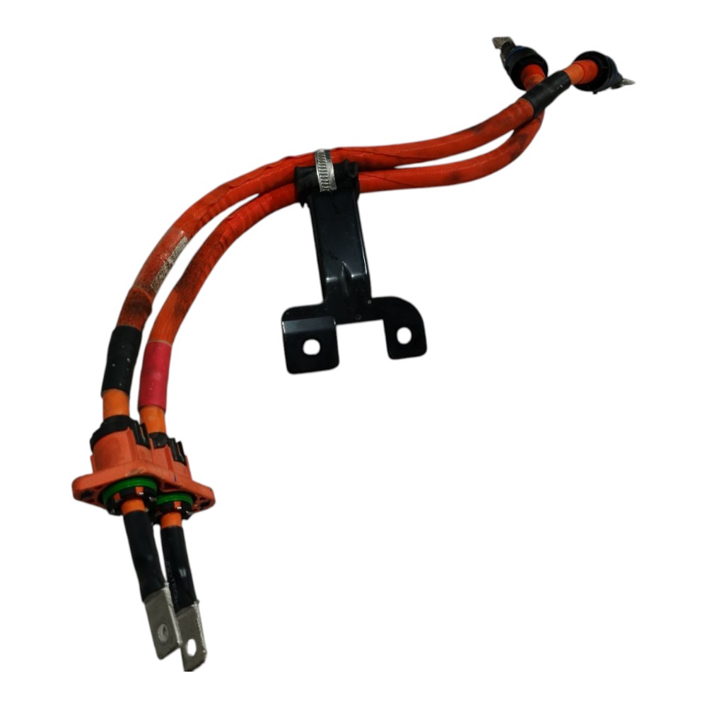 Chicote Cabo Bateria Byd Dolphin Mini 2024 2025 V665 5