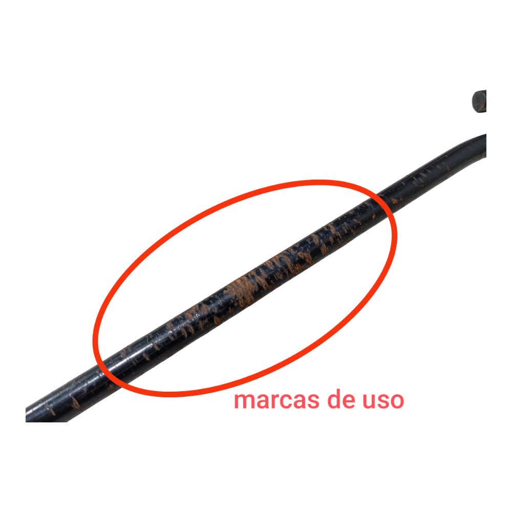 Haste Macaco Byd Dolphin Gs 2024 2025 V666