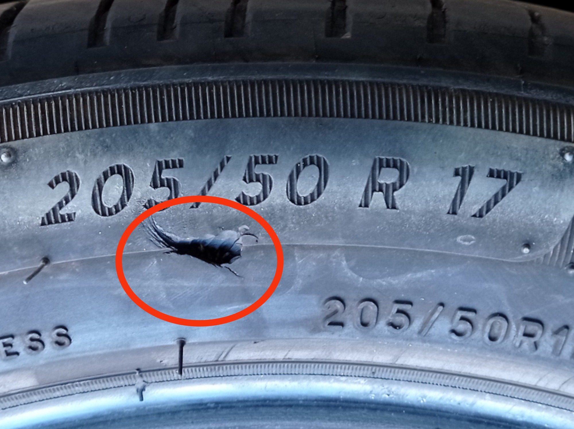 Pneu Aro 17 Michelin Primacy 4 205/50 R17 4