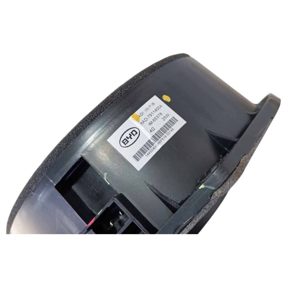 Alto Falante Porta Tras Esquerda Byd Dolphin Gs 2024 25 V653