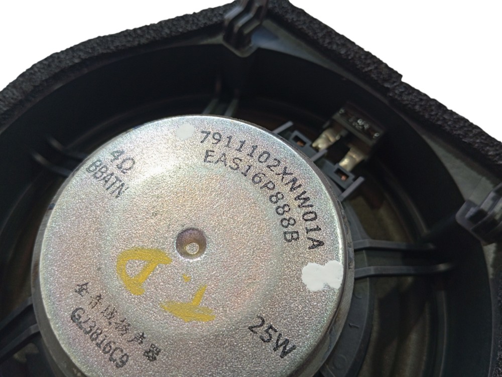 Alto Falante Porta Traseira Direita Gwm Ora Gt03 2024 V625 6