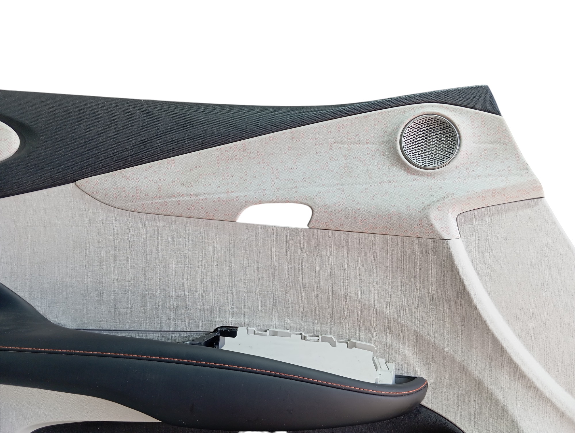 Forro Porta Dianteira Esquerda Byd Dolphin Gs 2024 25 V596 6