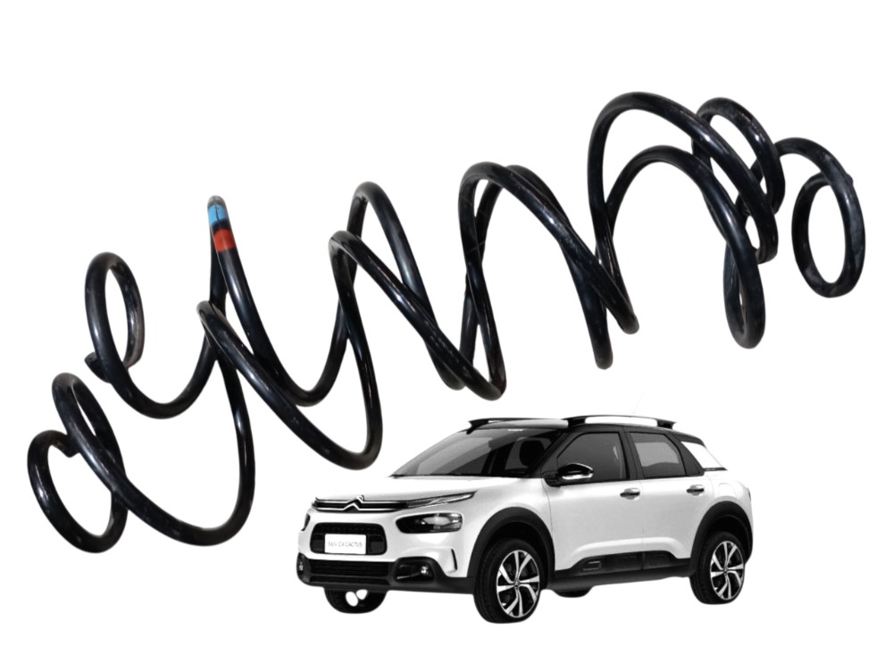 Par Mola Traseira Citroen Cactus 1.6 2021 2022