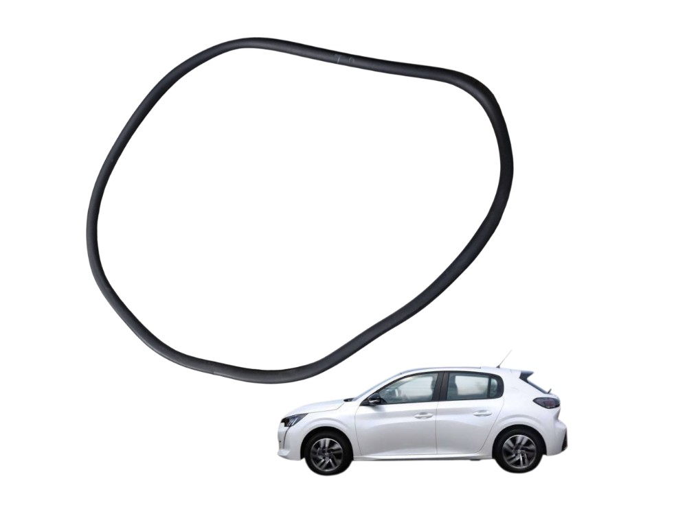 Borracha Porta Traseira Direita Peugeot 208 Griffe 1.6 2021