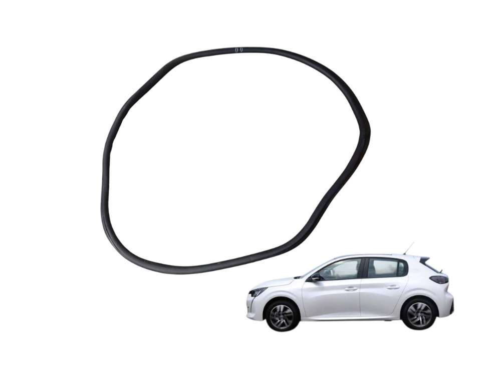 Borracha Porta Dianteira Direita Peugeot 208 Griffe 1.6 2021