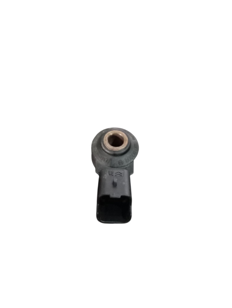 Sensor Detonação Peugeot 206 1.6 16v 2005 2006