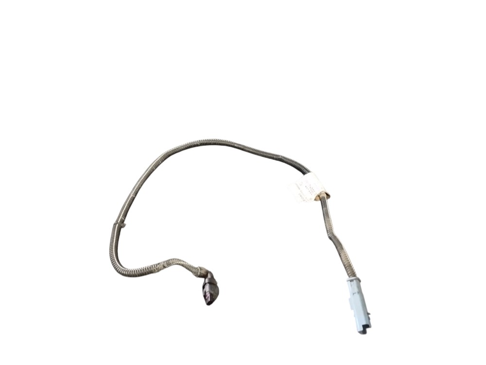 Chicote Sensor Abs Traseiro Esquerdo Peugeot 208 2022 Usado