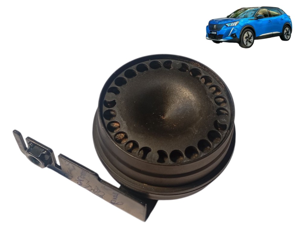 Sirene Alarme Peugeot 2008 Elétrico 2023 2024 2025