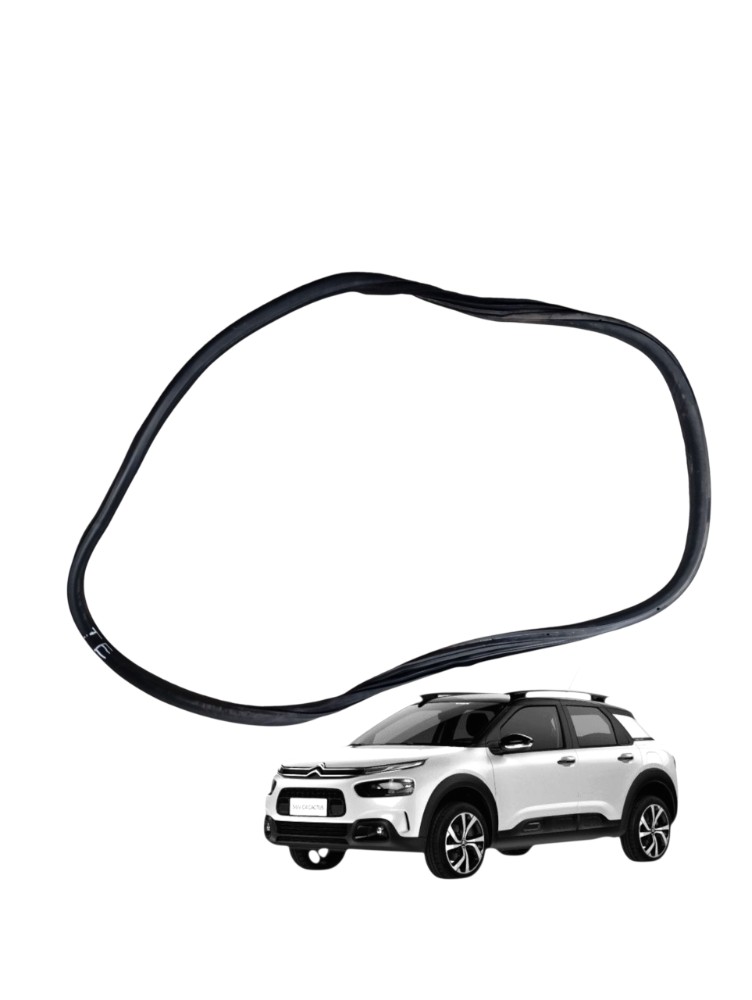 Borracha Porta Traseira Esquerda Citroen Cactus 1.6 2021 2022