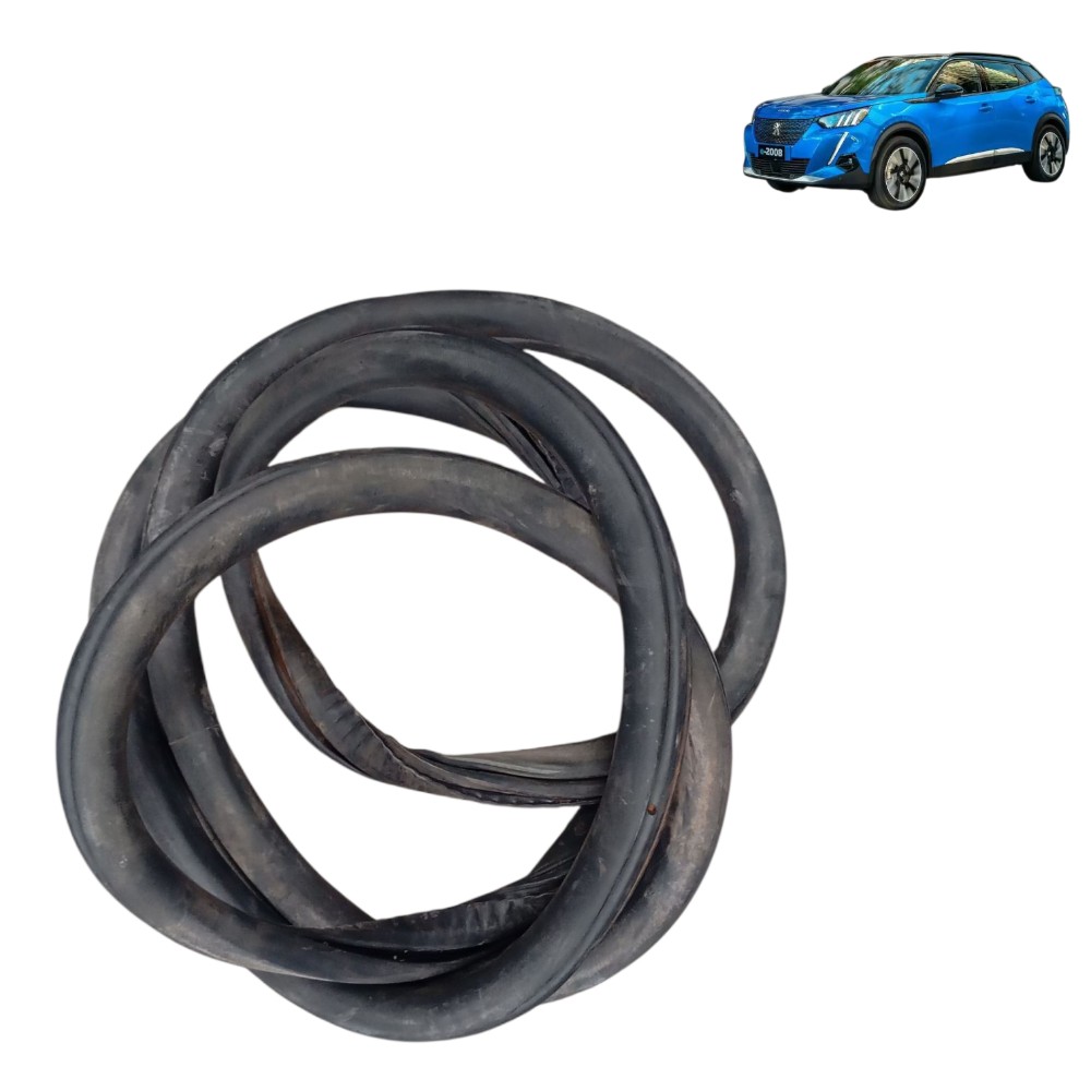 Borracha Porta Traseira Peugeot 2008 Elétrico 2023 2024 2025