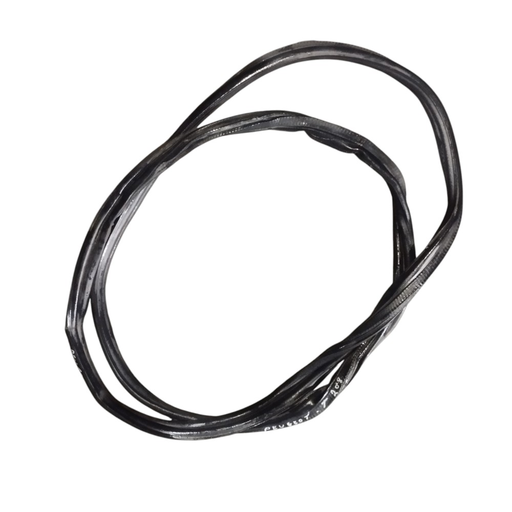 Borracha Porta Traseira Peugeot 208 2014 2015