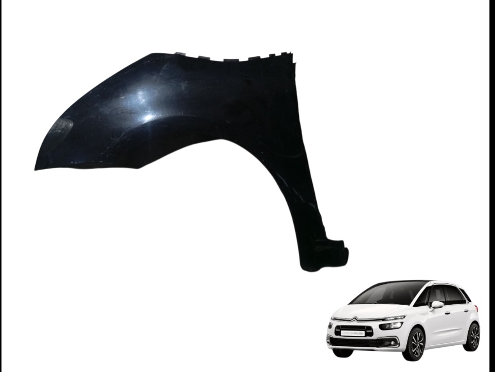 Paralama Dianteiro Esquerdo Citroën C4 Picasso 2.0 2008 2009