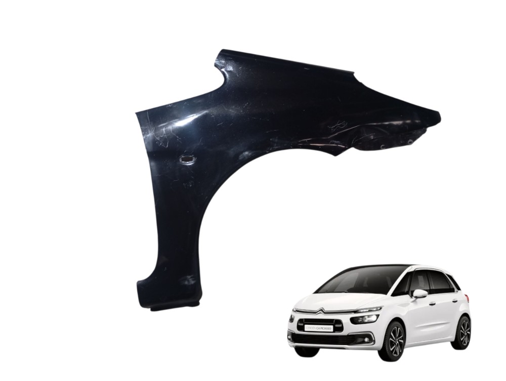 Paralama Dianteira Direita Citroen C4 Picasso 2.0 2008 2009
