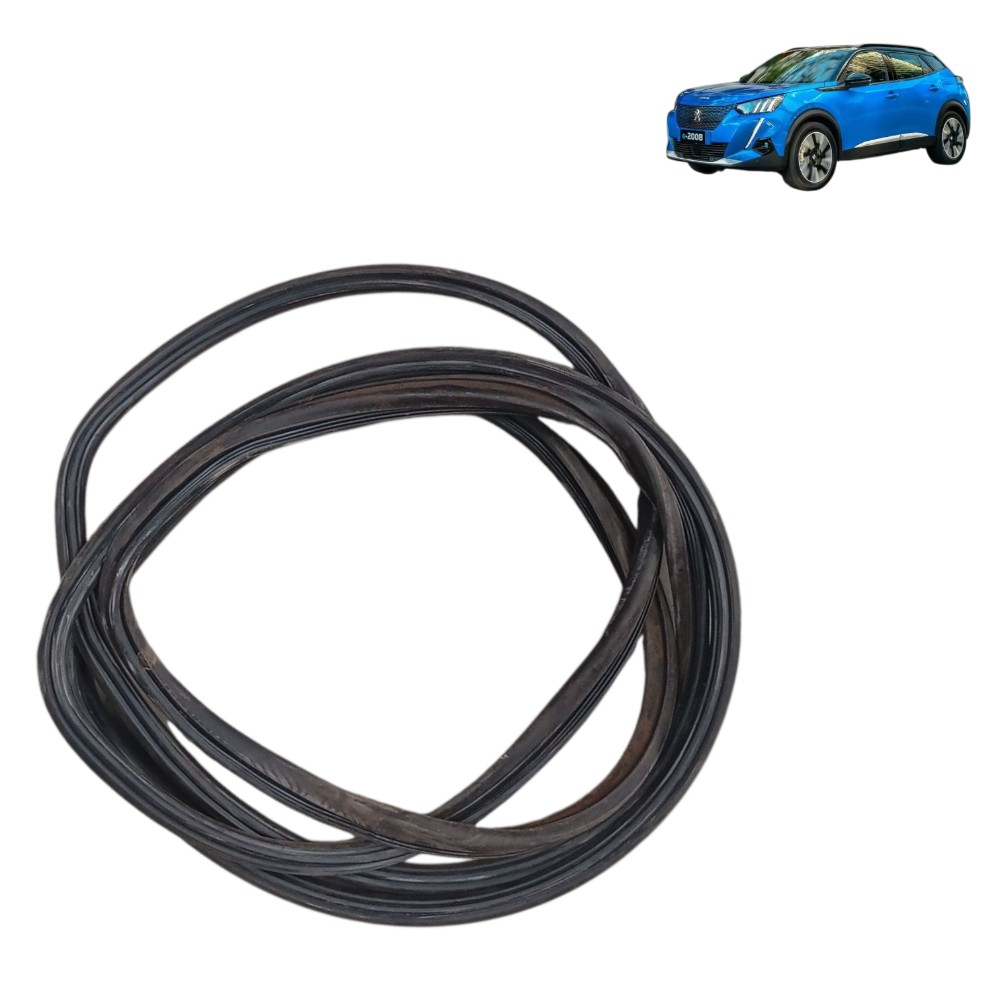 Borracha Teto Solar Peugeot 2008 Elétrico 2023 2024 2025