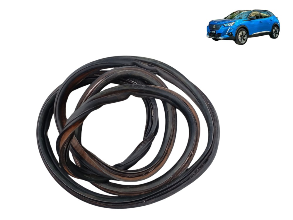 Borracha Porta Dianteira Peugeot 2008 Elétrico 2023 24 2025