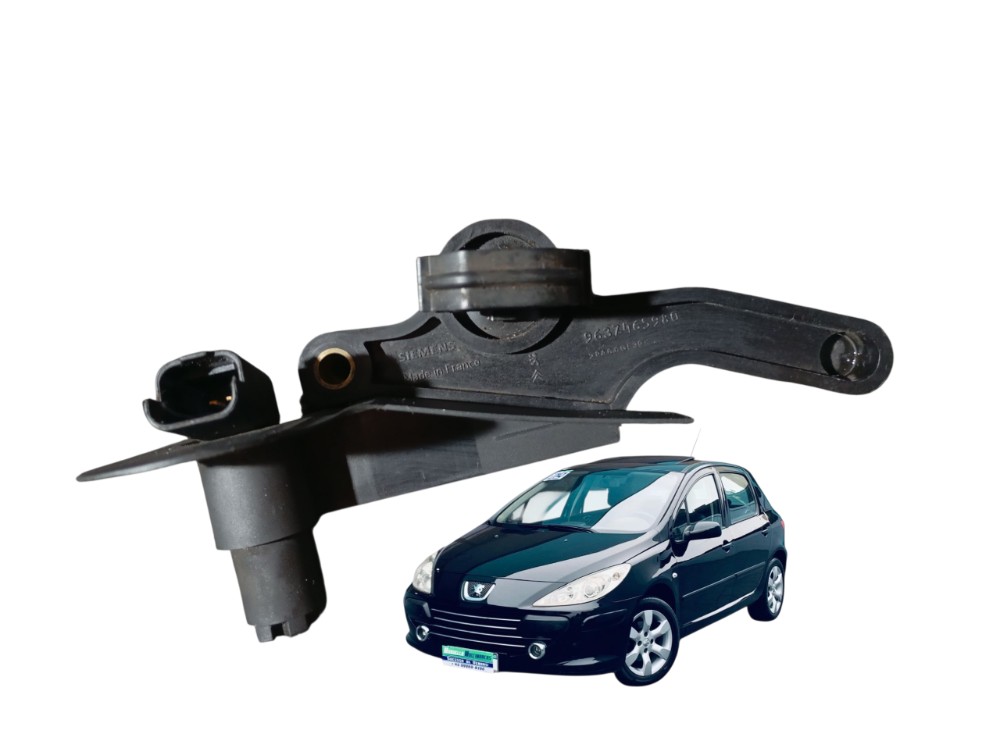 Sensor Rotaçao Peugeot 307 1.6 2009 2010 Flex