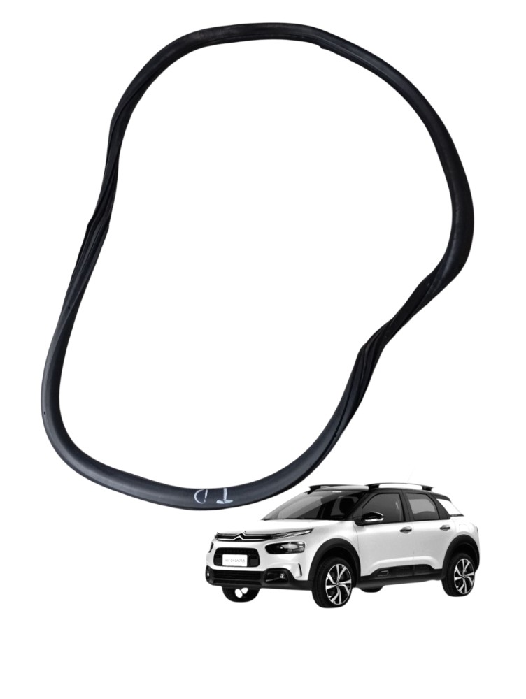 Borracha Porta Traseira Direita Citroen Cactus 1.6 2021 2022