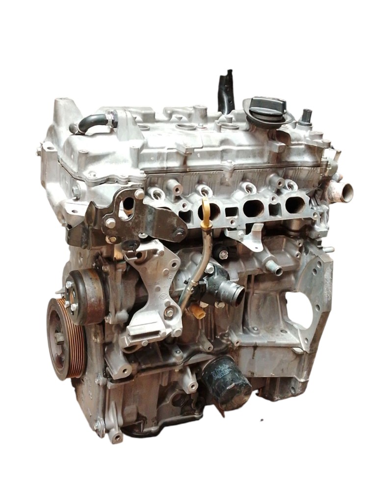 Motor Renault Duster 1.6 2018 2019