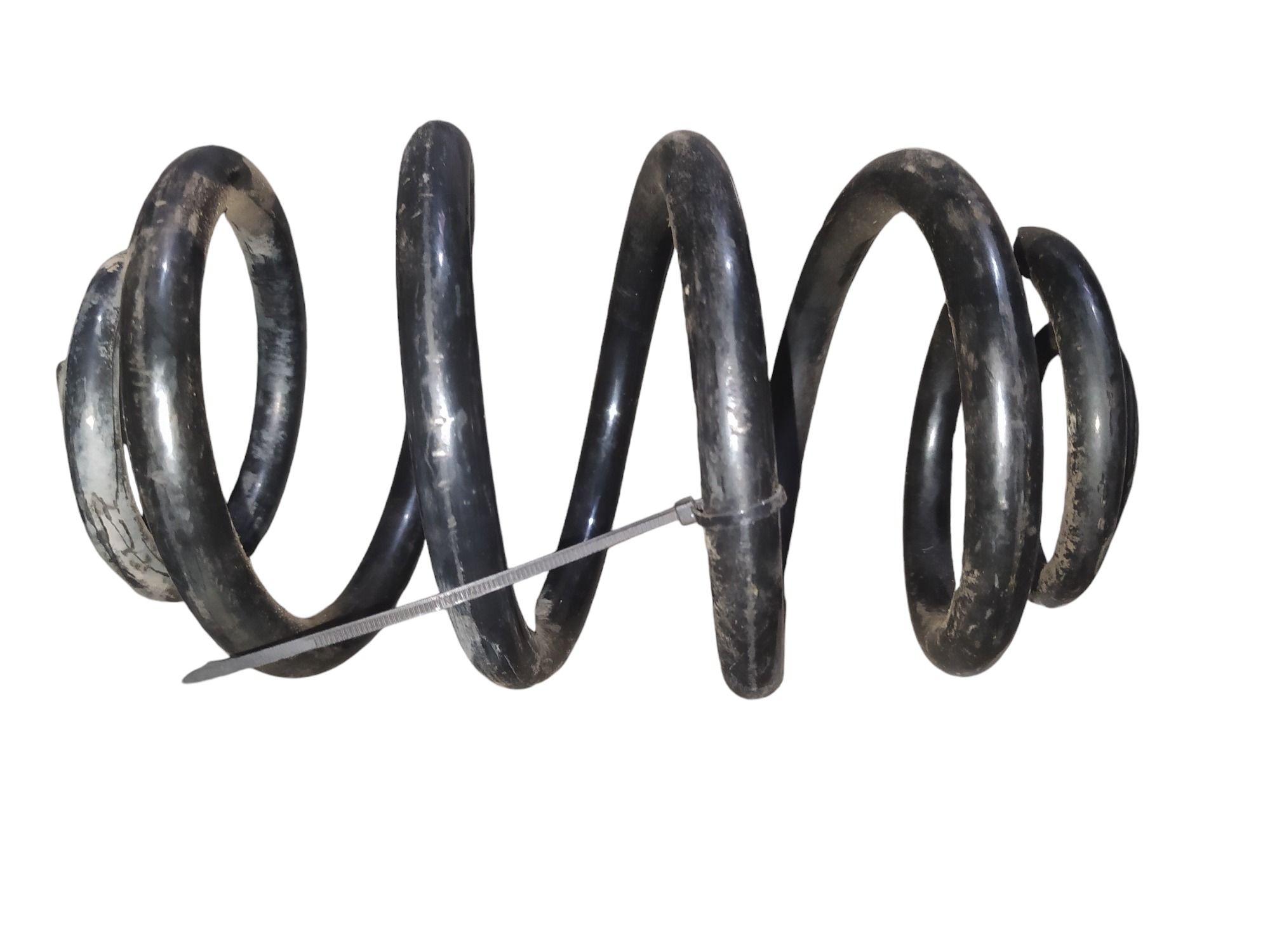 Mola Traseira Direita Renault Clio 2005 5