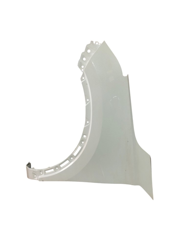 Paralama  Esquerdo Chery Tiggo 5x 1.5 2021 2022