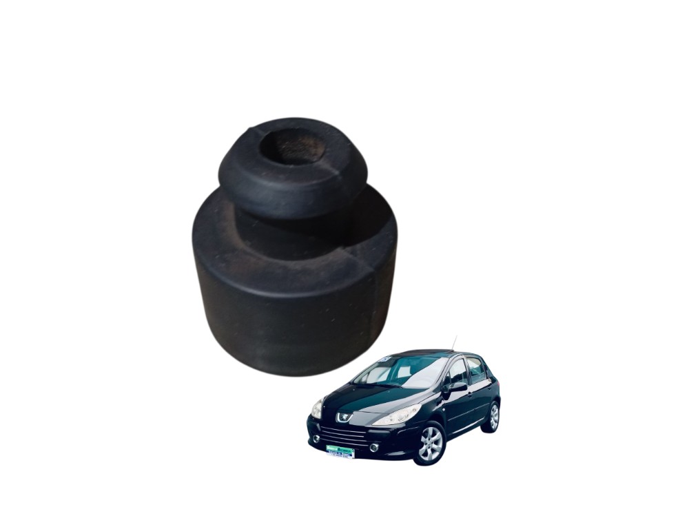 Suporte Radiador Peugeot 307 1.6 2009 2010 Flex