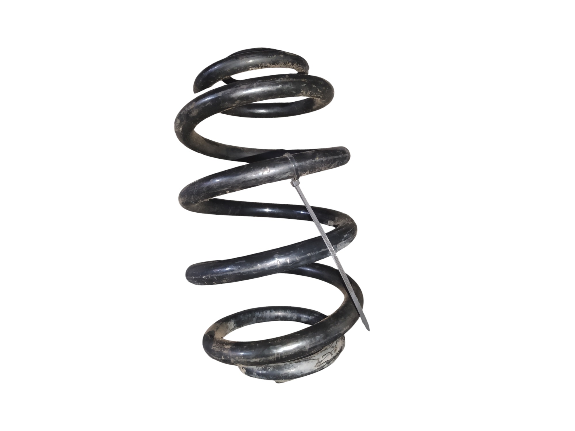 Mola Traseira Direita Renault Clio 2005 3