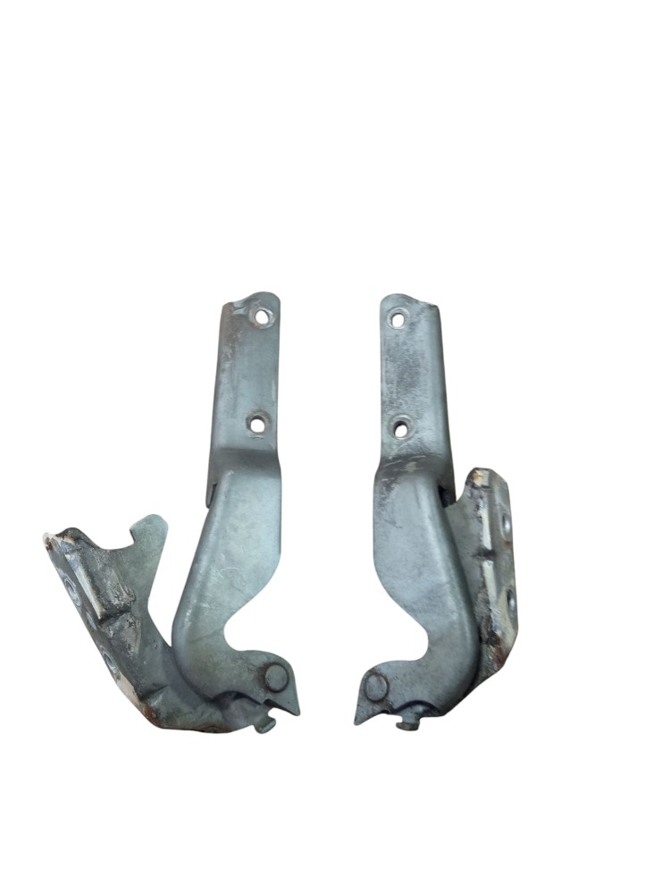 Par Dobradiça Capo Fiat Palio Strada Fire 2012 Original