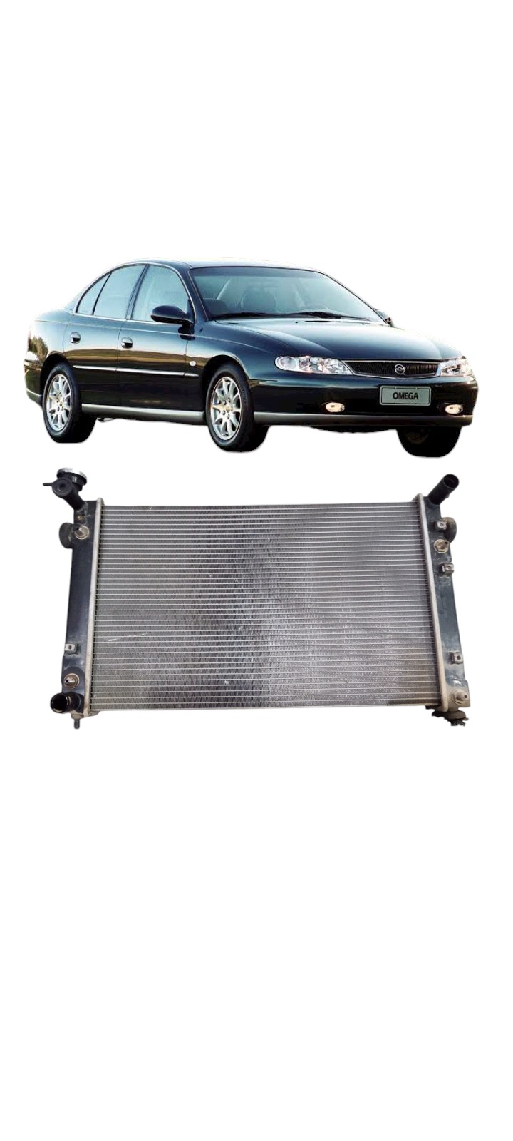 Radiador Agua Omega Australiano 3.8 V6 2002