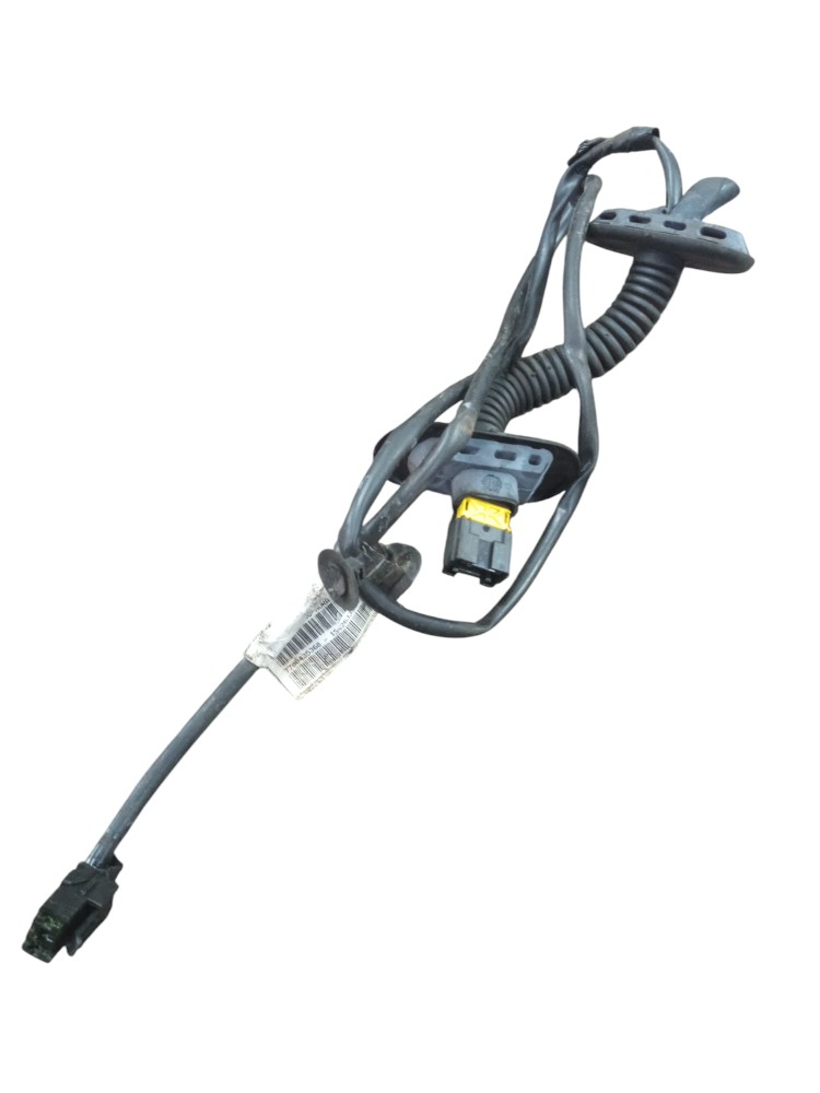 Chicote Porta Traseira Direita Renault Clio 2008