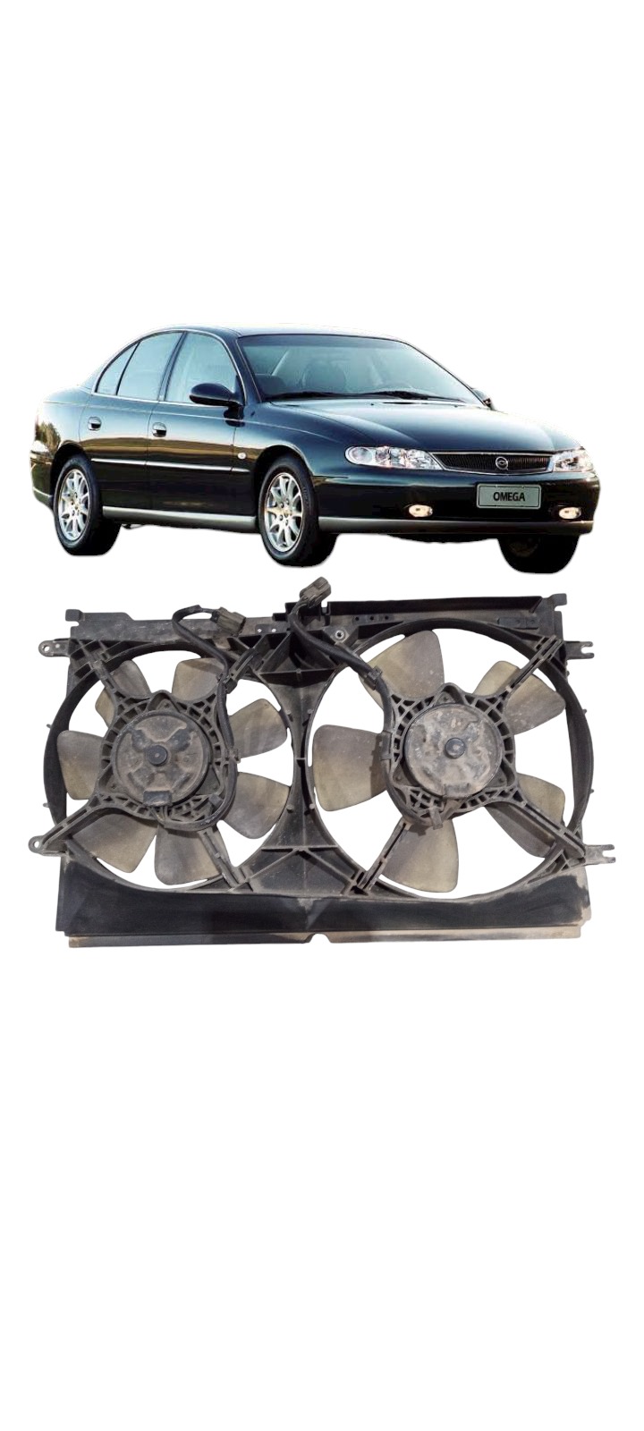 Ventoinha Radiador Gm Omega Australiano 3.8 V6 2002