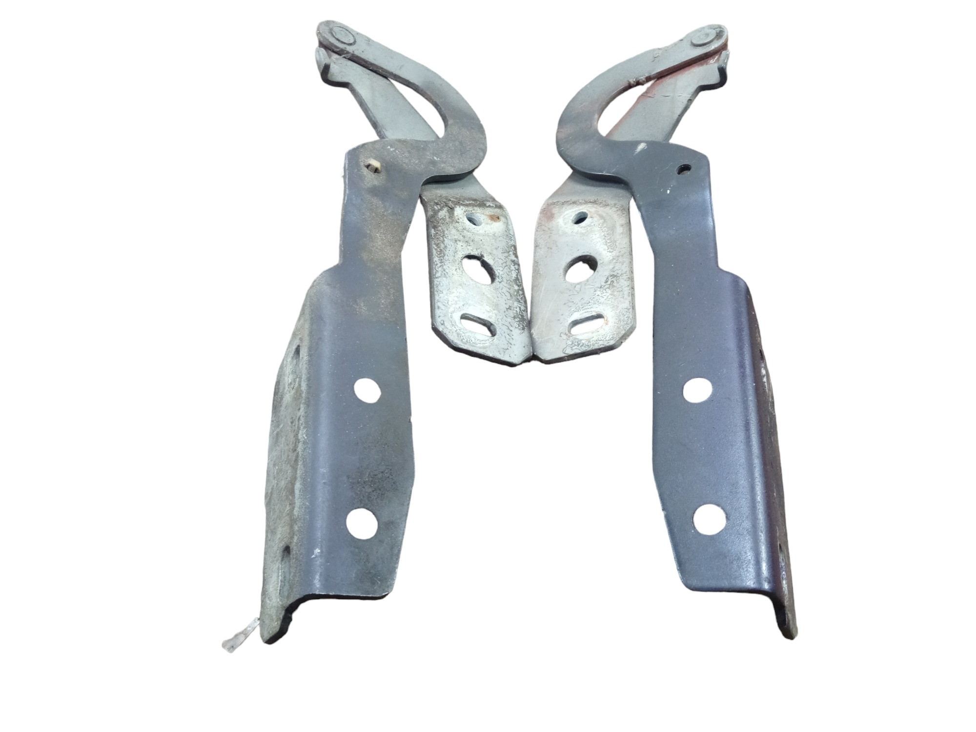 Par Braco Dobradicas Capo Ford Escort Zetec