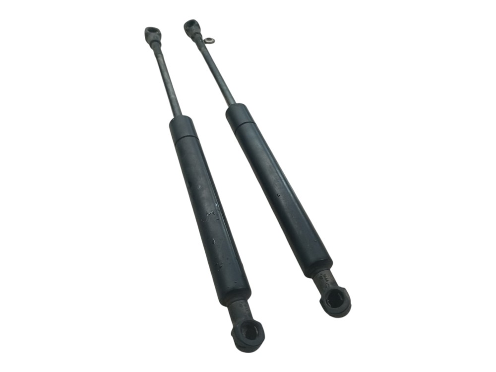 Par Amortecedor Capo Bmw 330 Ie46 99 2000 2002 2006 Usado 5