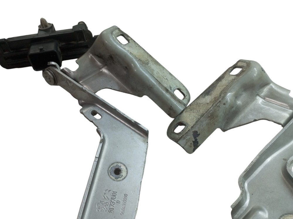Par Dobradica Capo C4 Hatch Pallas 2008 2010 2012 Usado 6