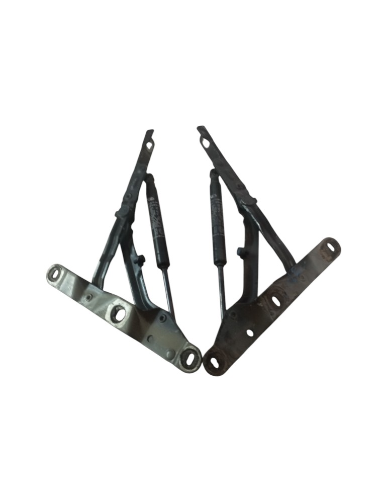 Amortecedor Dobradica Tampa Traseira Linea 2009 2016 Par 4