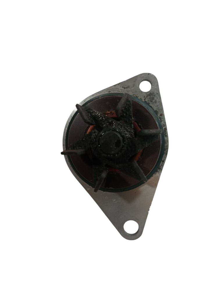 Bomba De Água Peugeot 206 Citroen C3 2003 2013 Usado 5