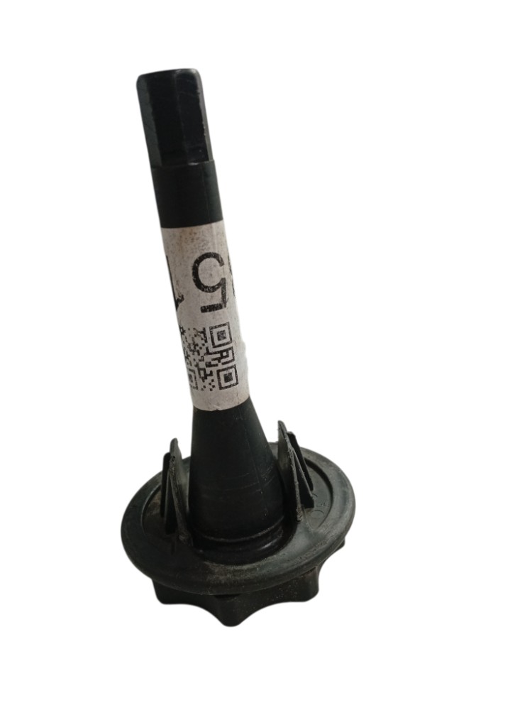 Porca Parafuso Fixacao Do Estepe Renault Scenic 99 4