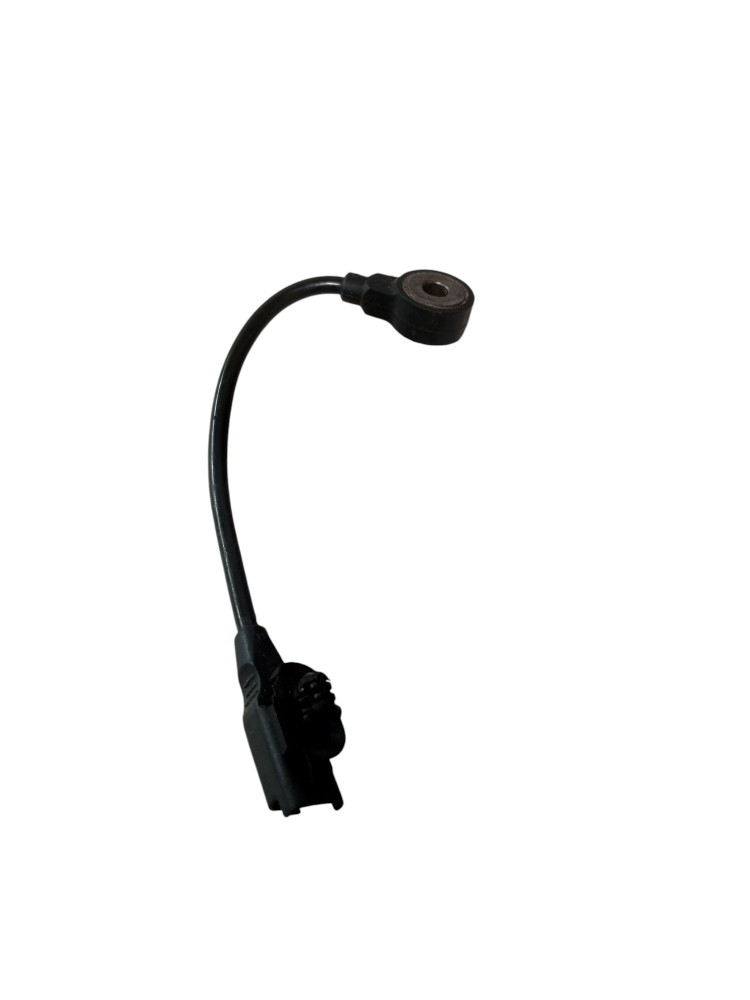 Sensor Detonacao Citroen C4 Pallas 2008 2009 2010 2011 1