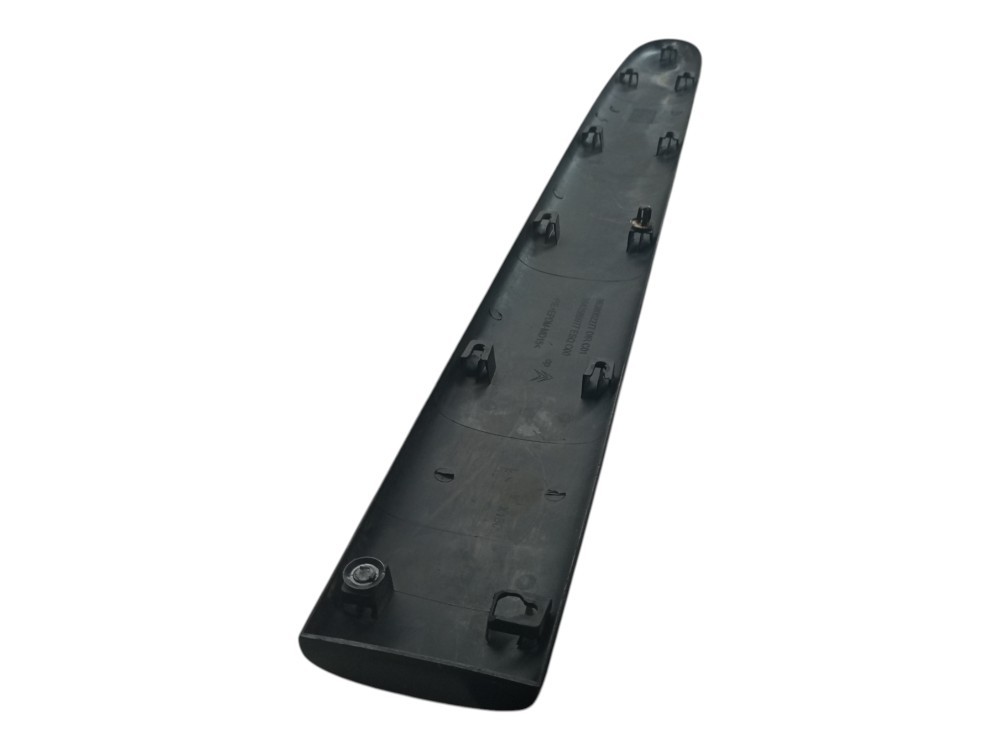 Friso Porta Citroen Xsara 2002 2005 2008 Dianteira Esquerda 3