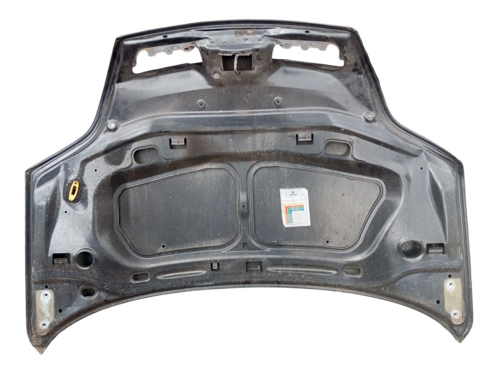 Capo Renault Scenic 2002 2003 2004 5