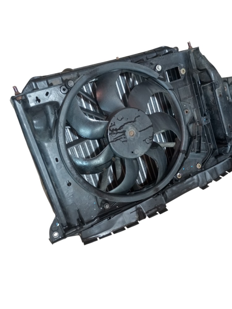 Radiador Completo Peugeot 206 207 1.4 1.6 2006 2013 Usado 2