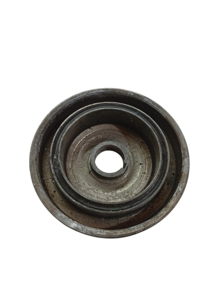 Polia Virabrequim Peugeot 2.0 307 308 407 408 C4 2008 2013 4