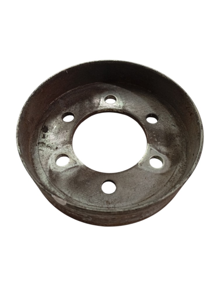 Polia Bomba Dagua Renault Scenic Megane 2003 2013 4