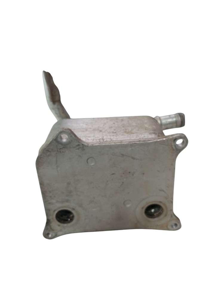 Radiador Resfriador Oleo Motor Touareg 4.2 V8 2007 2010 5