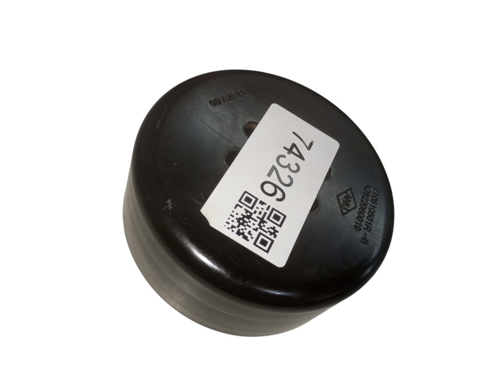 Polia Da Bomba De Agua Renault Oroch 1.3 2024 2025 Usada 1