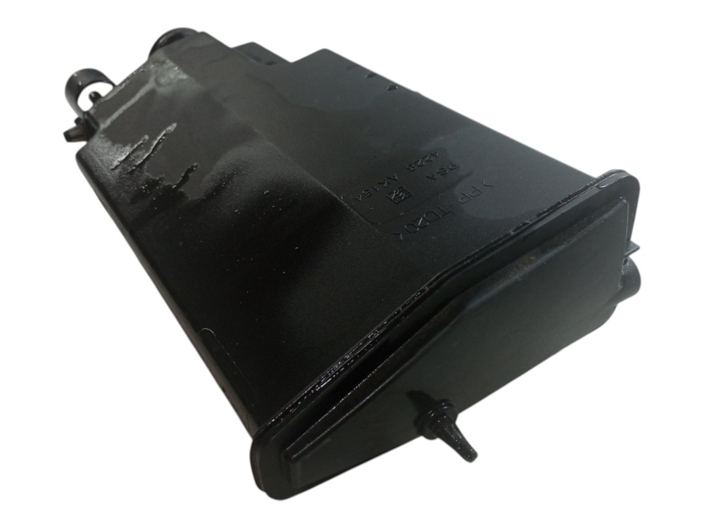 Filtro Canister Citroen C4 Pallas 2008 2010 2012 1